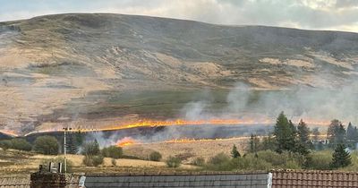 Suspects photographed on mountainside amid grass fire that burned near people's homes