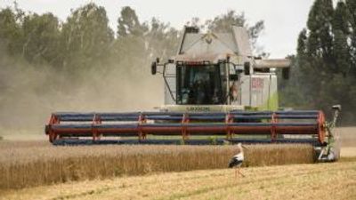 Ukrainian grain: rousing the fury of east Europe’s farmers