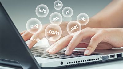 How to find out who owns a domain name