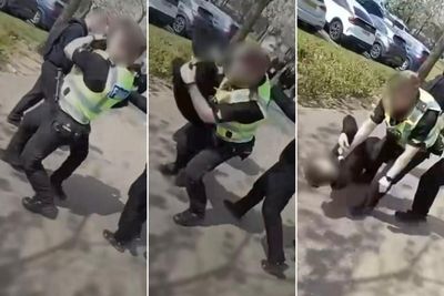 Enquiries ongoing after video shows police officer 'body slamming' pupil to ground