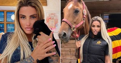 Petition to ban Katie Price from owning pets soars to 27k after slew of tragic deaths