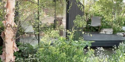 How to make a backyard more private without a fence – 5 screening solutions to try