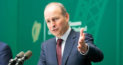 Micheál Martin doubles down on criticism of online outlet The Ditch