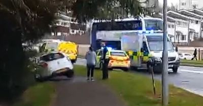 Emergency services rush to East Kilbride after car strikes tree