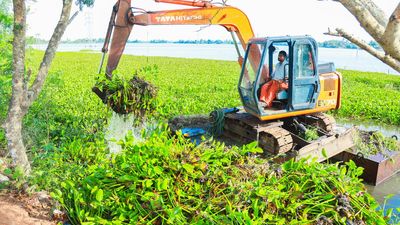 Kuttanad panchayats trying to make money out of aquatic weed