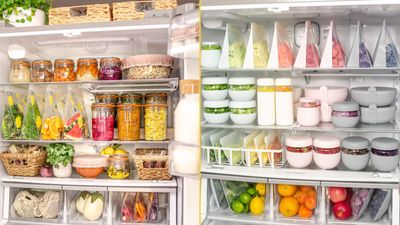 8 fridge organization ideas to keep your food fresh AF