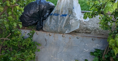 Dead puppies dumped in Tesco bags behind bus stop