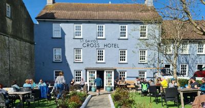 Popular hotel under fire for 'insult to nature' by using 'bonkers' fake grass