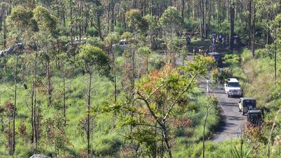 Arikompan remains elusive, mission to capture tusker to resume today