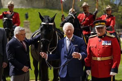King presented with new royal horse and commemorative sword at Windsor Castle