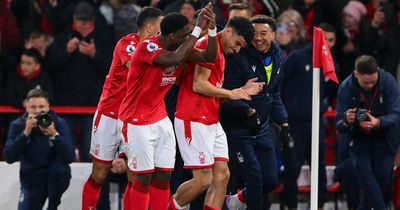 Unseen Nottingham Forest moments in Brighton win explain why Steve Cooper took clear stance