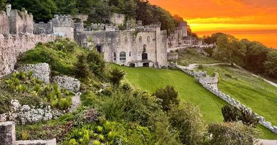 Welsh castle that hosted I'm A Celebrity... Get Me Out of Here! during Covid unveils wedding venue plans