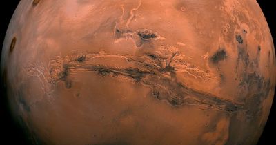 Chinese rover finds liquid water on Mars