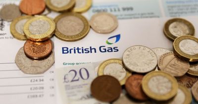 Half-price electricity on offer to British Gas customers in trial this weekend