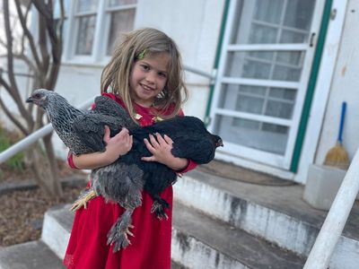 I got 15 mail-order chicks. They ended up changing my life