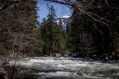 Yosemite flood risk, closures block some springtime visitors