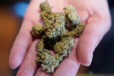 Senate vote puts Minnesota on path to legalizing marijuana