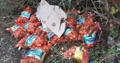 Brazen fly-tipper dumps 12 huge bags of ONIONS on quiet street - but is caught on camera
