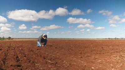 Farmers still grappling with impact of 2022 NSW flood crisis optimistic about winter crop
