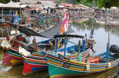 Govt to open centre to limit fishing boats