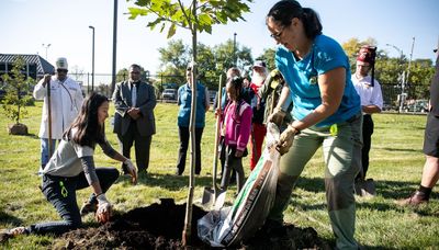 Bring more trees to under-resourced neighborhoods