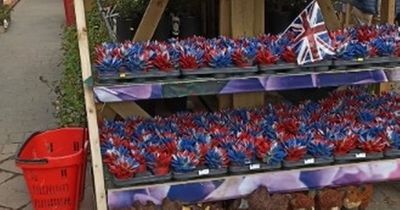 Shoppers baffled by garden centre's 'awful' Coronation display with Union Jack plants