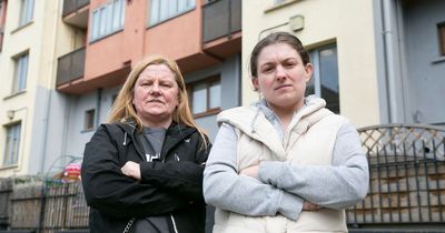 Woman living with seagulls in attic as Dublin tenants demand action over decade-long issues