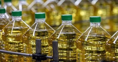 People hail 'genius' hack after realising purpose of plastic pull tab on oil bottle lids