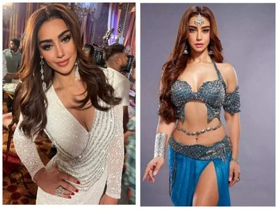 My friends laughed at me saying, 'You don't even know Hindi and you will do Naagin' when I was chosen for the role: Maheck Chahal