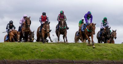 Punchestown Saturday full race card and tips - list of runners on the final day of the festival
