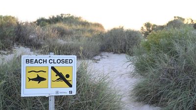 Shark bites 11-year-old Tasmanian snorkeller in attack off Exmouth in Western Australia