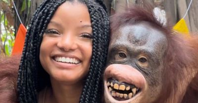 Little Mermaid star Halle Bailey hit with backlash after posting photos with animals at zoo