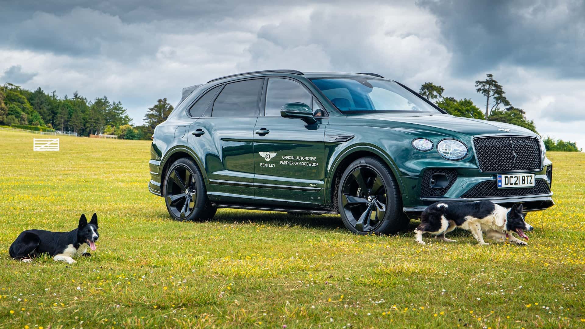 Bentley Giving VIP Access To Owners With Dogs Named…