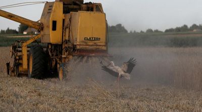 Ukraine Told Poland, EU That Grain Import Restrictions Are ‘Unacceptable’