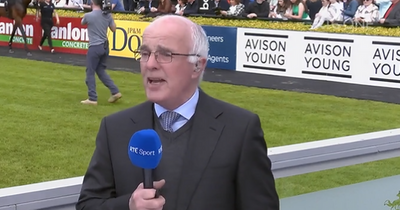 Ted Walsh stuns RTE colleagues as he announces retirement live on air at Punchestown
