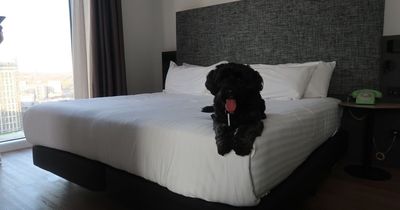 I stayed at the dog friendly INNSiDE by Melia Hotel and didn't want to check out - review