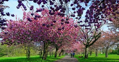 Bank Holiday weather forecast says warm temperatures and sunshine for most