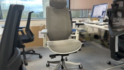 FlexiSpot BS11 Pro office chair review