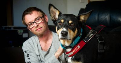 'Definite misunderstanding': Call for better assistance dog awareness