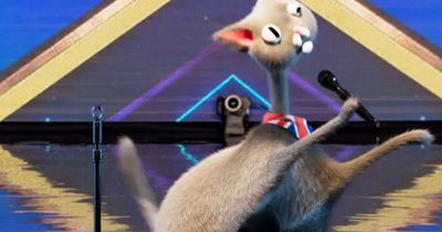 Britain's Got Talent fans fume 'what were the judges watching?' over 'bizarre' animated cat