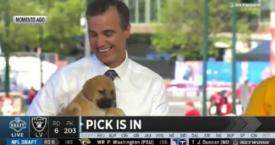 An adorable puppy peed all over NFL draft analyst Daniel Jeremiah on live TV