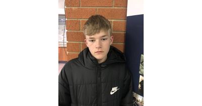 Police issue appeal for help to find missing boy