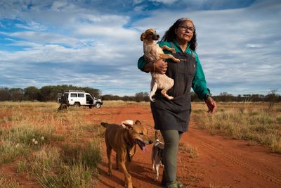 Caring for the half-wild dogs of Yuendumu’s Aboriginal community