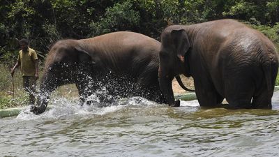 Top T.N. news list today