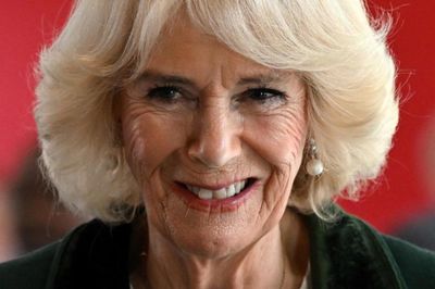 Queen Camilla: King Charles's 'non-negotiable' soulmate