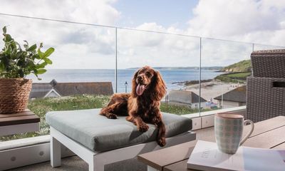 10 of the UK’s best dog-friendly hotels and resorts