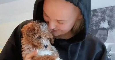 JoJo Siwa breaks silence after Dance Moms star's puppy 'killed in tragic accident'