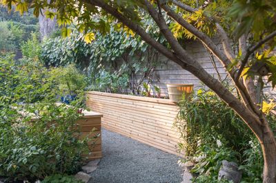 Best wood for outdoor projects – 5 types that are loved for their durability and good looks in equal measure