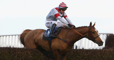 Allotment-raised racehorse Dream Alliance who famously won Welsh Grand National against the odds dies aged 22