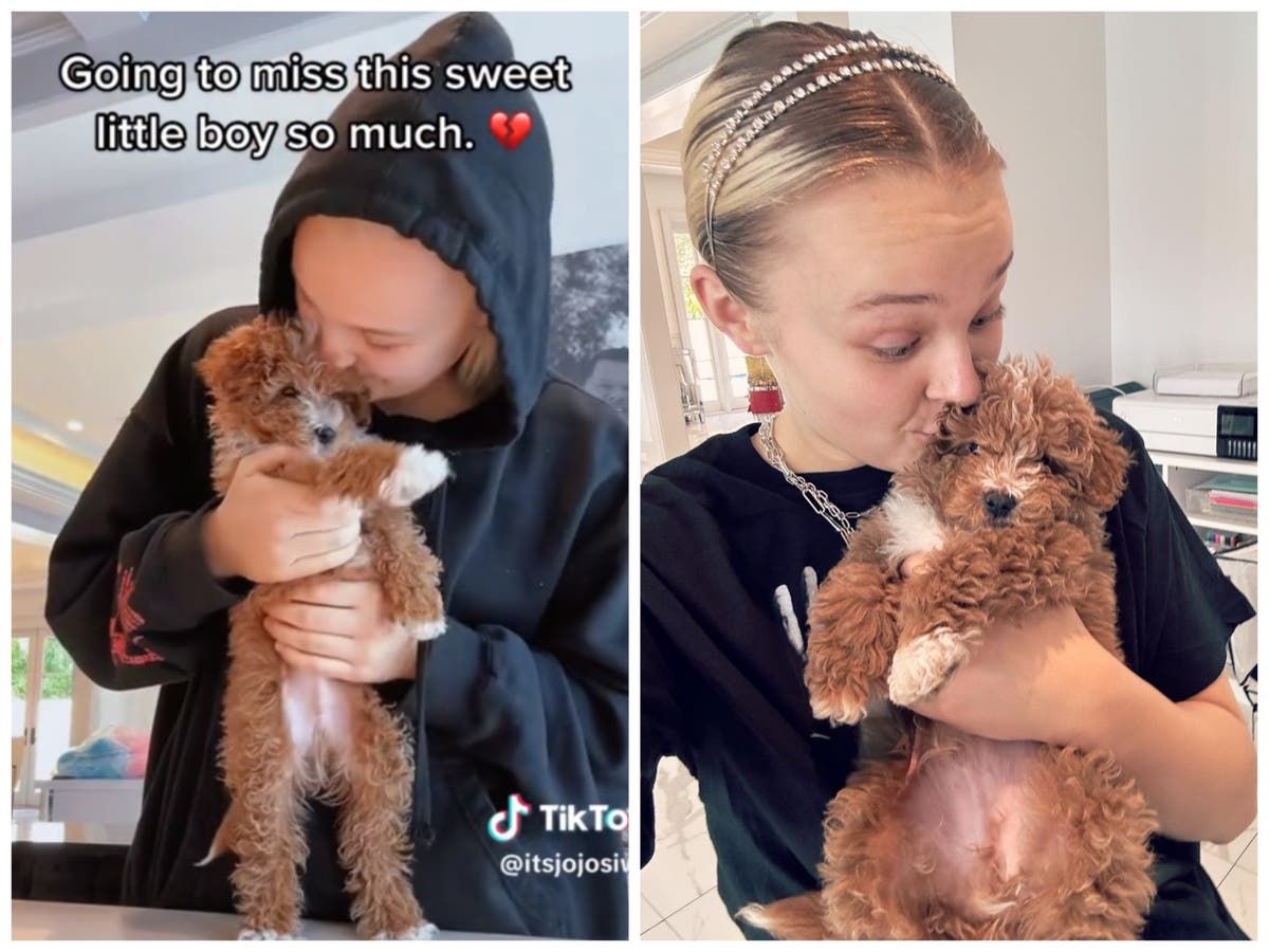 JoJo Siwa mourns death of her ‘perfect’ puppy in…(02)